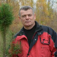 Отзыв от Никита - DTV виза